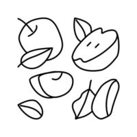 fetta Mela tagliare frutta foglia linea icona vettore illustrazione