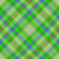 modello dai un'occhiata vettore. plaid struttura tessuto. sfondo tartan senza soluzione di continuità tessile. vettore