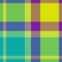 tessuto struttura modello. tessile vettore sfondo. senza soluzione di continuità dai un'occhiata tartan plaid.