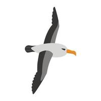 albatro uccello mosche vettore