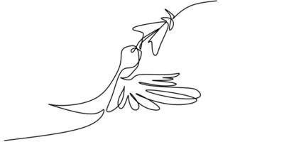 disegno continuo di una linea di disegno minimalista colibrì. uccello in volo sui fiori isolati su sfondo bianco. vettore