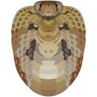 cobra. illustrazione di un' velenoso serpente. luminosa ritratto è raffigurato su un' bianca sfondo. vettore grafica. animale logo