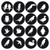 uccelli icona impostare. bianca su un' nero sfondo vettore