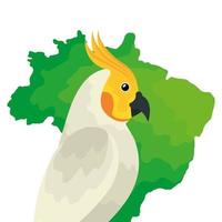 Mappa del Brasile con icona isolata uccello pappagallo vettore