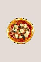 appetitoso Pizza con Mozzarella. vettore illustrazione