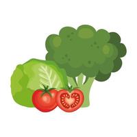 broccoli freschi con icone di verdure isolate vettore