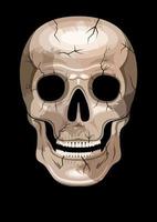 cranio umano con macchie e crepe vista frontale vettore