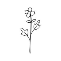 nero linea scarabocchio fiore su bianca sfondo. vettore illustrazione di natura.