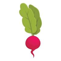 biologico dieta icona cartone animato vettore. salutare insalata vettore