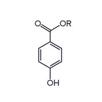 molecola di parabeni su bianco, vettore