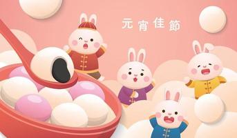 carino coniglio personaggio o mascotte, lanterna Festival o inverno solstizio con glutinoso riso palle, glutinoso riso dolce cibo nel Asia vettore