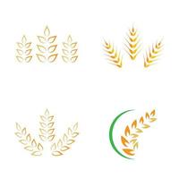 immagini del logo di grano vettore