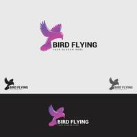 modello di progettazione di logo di volo degli uccelli vettore