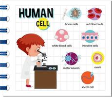 diagramma della cellula umana per l'istruzione vettore