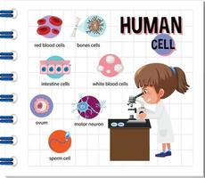 diagramma della cellula umana per l'istruzione vettore