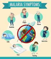 infografica di informazioni sui sintomi della malaria vettore