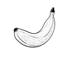 banana frutta disegno a tratteggio nero su sfondo bianco. vettore