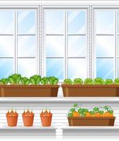 piante da orto con scena di sfondo della finestra vettore