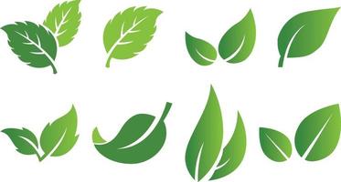 impostato di astratto isolato verde le foglie icone su bianca sfondo vettore