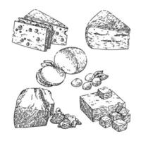 formaggio latteria impostato schizzo mano disegnato vettore