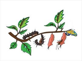 insetto in crescita su albero cartone animato vettore