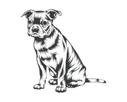 boston terrier razza vettore illustrazione, boston terrier cane vettore su bianca sfondo per maglietta, logo, e altri
