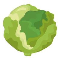 icona di cibo sano verdura fresca cavolo verde vettore