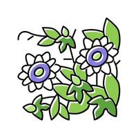 passiflora fiore liana colore icona vettore illustrazione