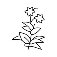 illustrazione vettoriale dell'icona della linea di fitoterapia delle piante e fiori