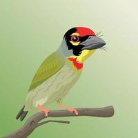 ramaio Barbet premio vettore illustrazione