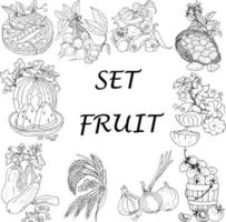 impianti frutta verdure raccolto. un' menù per il vegetariano. scarabocchio illustrazione. vettore