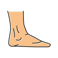 illustrazione vettoriale dell'icona del colore del corpo della caviglia