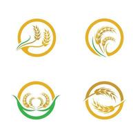 set di immagini del logo di grano vettore