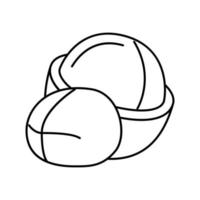 illustrazione vettoriale dell'icona della linea di noci di macadamia