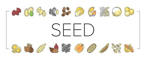 Set di icone della cultura dell'agricoltura delle piante da seme vettore