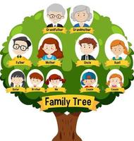 diagramma che mostra un albero genealogico di tre generazioni vettore