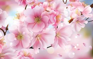 bellissimo concetto di fiori di ciliegio vettore