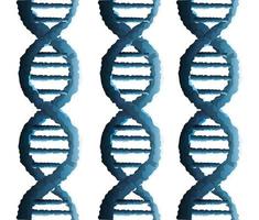 molecole di DNA struttura genetica icona vettore