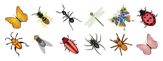 insetto impostare, farfalla formica libellula vespa volare coccinella scarafaggio ragno. zoologico icone, arredamento elementi, vettore
