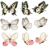 bella collezione di farfalle ad acquerello in diverse posizioni vettore