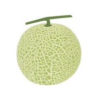 Cantalupo melone, frutta vettore illustrazione 10