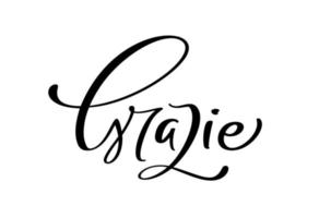 Grazie manoscritto lettering testo. grazie voi nel italiano linguaggio. inchiostro illustrazione. moderno spazzola calligrafia. isolato su bianca sfondo. gratitudine parole per cartoline vettore