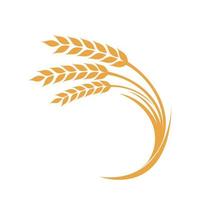 Grano riso agricoltura logo vettore