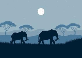 elefanti nel il savana a notte. vettore illustrazione.