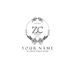 iniziale zc bellezza monogramma e elegante logo disegno, grafia logo di iniziale firma, nozze, moda, floreale e botanico con creativo modello. vettore