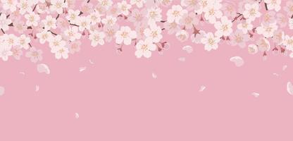 sfondo floreale senza soluzione di continuità con i fiori di ciliegio in piena fioritura su uno sfondo rosa. ripetibile orizzontalmente.