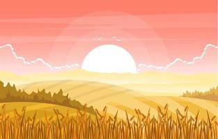 agricoltura campo di grano fattoria rurale natura scena paesaggio illustrazione