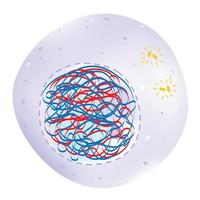 interphase è il fase di il cellula ciclo. vettore