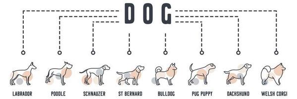 icona web banner cane. samoiedo, cane da riporto, pugile, husky, beagle, puntatore, alani, concetto di illustrazione vettoriale doberman.