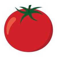 pomodoro icona clipart verdura vettore illustrazione